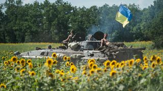 Танк с украинским флагом в поле подсолнечника 