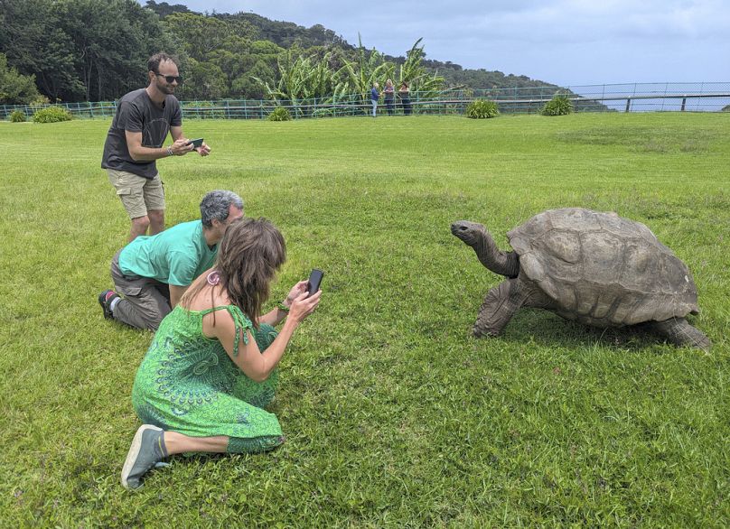 Tourists take photos of Jonathan, a 192-year-old tortoise, on the lawn of Plantation House on the South Atlantic island