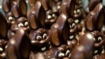 Des lapins en chocolat attendent d'être décorés à la chocolaterie Cocoatree, en avril 2020, à Lonzee, en Belgique.