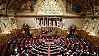 Fransa'da parlamentonun üst kanadı Senatosu