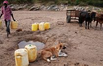 Un homme porte des cruches pour aller chercher de l'eau dans un trou dans le lit d'une rivière sablonneuse dans le comté de Makueni, au Kenya, le jeudi 29 février 2024. 