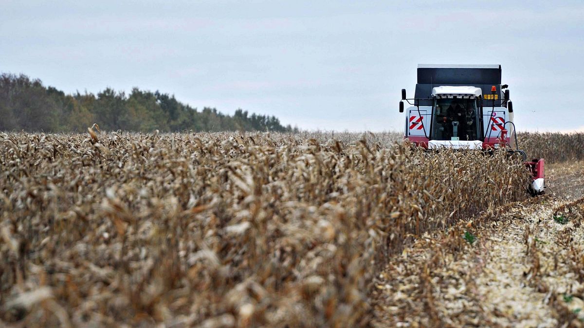 Европейската комисия предложи рязко увеличение на митата върху руското зърно