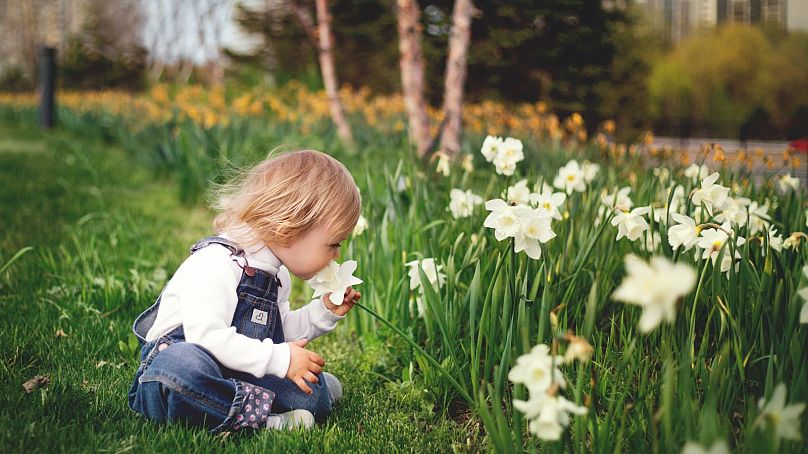 ترکیبات شیمیایی روی بدن کودکان زیر ۳ سال رایحه‌ای همچون بوی گل را منتشر می‌کند