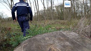 Csendőrök járják az erdőt 