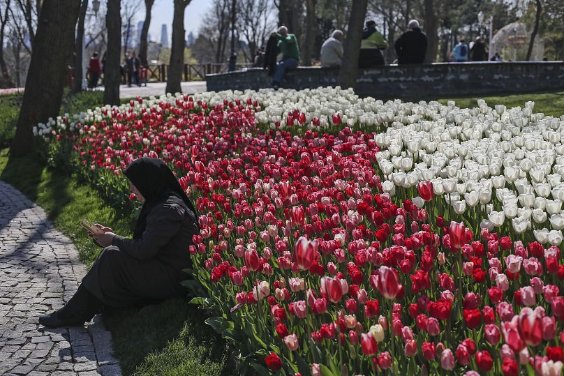 A woman takes pictures near a field of blooming tulips on display in the Emirgan Park in İstanbul, Türkiye.