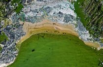 Mérgező kék-zöld alga virágzik a Balti-tengerben, a Stockholmhoz közeli Tyreso partjánál 2020. június 25-én – képünk illusztráció.