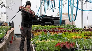 Katy Rogers, the farm manager at Teter Organic Farm and Retreat Center, holds a flat of plants inside greenhouse at the facility, 21 March 2024, in Noblesville, Indiana. 