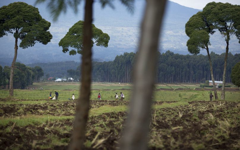 Local farmers work on the land just outside Volcanoes National Park, northern Rwanda, September 2014