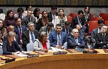 Der UN-Sicherheitsrat hat zum ersten Mal einen Waffenstillstand im Gazastreifen gefordert. 