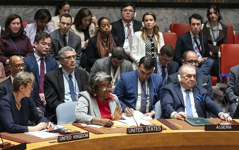 لیندا توماس گرینفیلد، سفیر آمریکا در سازمان ملل