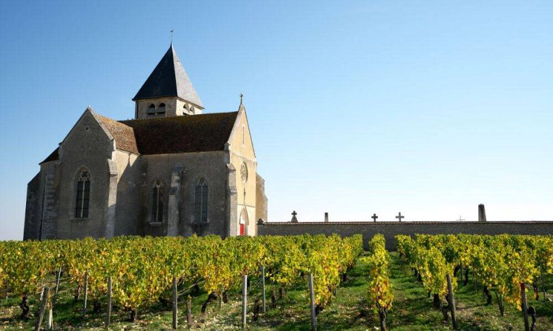 Vue sur l'église à travers les vignobles à Chablis, France.