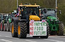 A convoy of farmers in tractors gather on the A20, near Wrotham, in Kent, England, 24 March 2024.