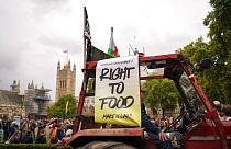 İngiliz çiftçilerin Londra'daki protestosu