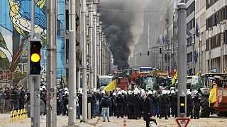 Протестующие фермеры перегородили улицу в Европейском квартале Брюсселя