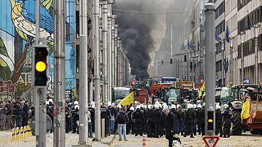 La polizia dietro una barriera guarda un mucchio di patate scaricate dai manifestanti durante una manifestazione di agricoltori vicino al Consiglio Europeo 