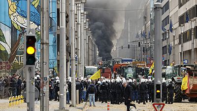 Policías detrás de una barrera observan un montón de patatas arrojadas por manifestantes durante una manifestación de agricultores cerca del Consejo Europeo 