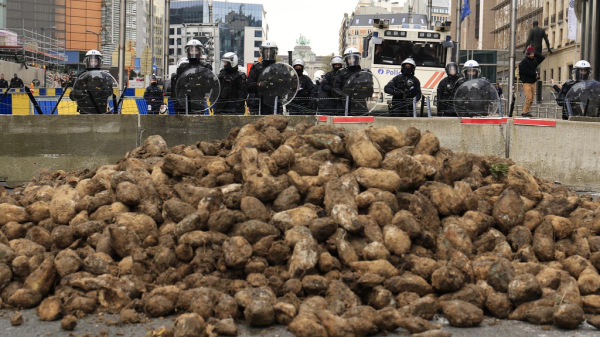 Police behind a barrier look at a pile of potatoes dumped by protestors during a demonstration of farmers near the European Council building in Brussels, Tuesday, March 26, 20