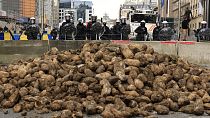 A barrikád mögött a rendőrök egy kupac krumplit néznek, amelyet a tüntetők öntöttek ki a gazdák tüntetésén az Európai Tanács épülete közelében Brüsszelben, 2024. március 26-án