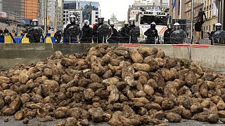 A barrikád mögött a rendőrök egy kupac krumplit néznek, amelyet a tüntetők öntöttek ki a gazdák tüntetésén az Európai Tanács épülete közelében Brüsszelben, 2024. március 26-án