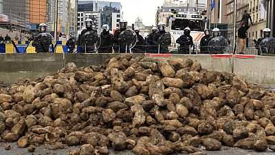 Des policiers derrière une barrière regardent un tas de betteraves déversées par des manifestants lors d'une manifestation d'agriculteurs le 26 mars.