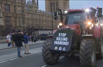 Britische Landwirte protestierten in London gegen Lebensmittelimporte.