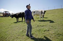 Ένας ντόπιος αγρότης περπατά δίπλα στις αγελάδες του στη Luncavita της Ρουμανίας, 2019.