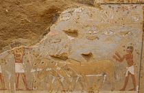نقاشی دیواری تازه‌ کشف‌شده در مصر