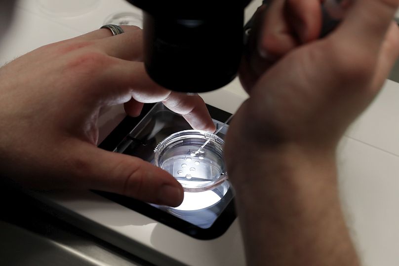 Procedimiento de embriones congelados, en una foto de archivo