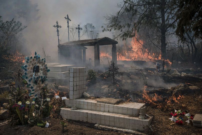 Δασικές πυρκαγιές στο Μεξικό
