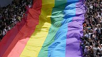 Imagen de decenas de personas junto a una bandera arcoíris en un desfile de celebración del colectivo LGTBIQ+.