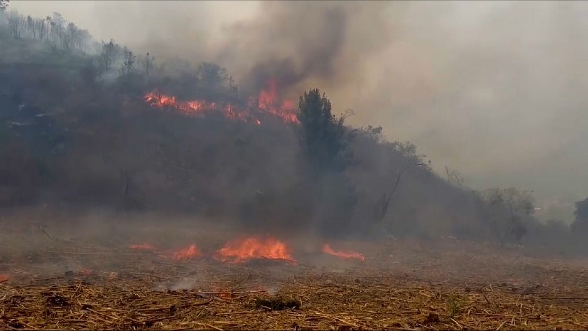 حرائق غابات في المكسيك