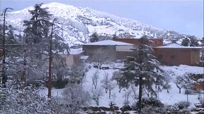 الثلوج تغطي مرتفعات إقليم الحسيمة في المغرب