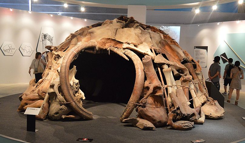 نمونه خانه‌ای بازسازی‌شده از عاج و استخوان ماموت متعلق به جامعه شکارچی‌-گردآورنده‌ها در موزه یوکویاما ژاپن