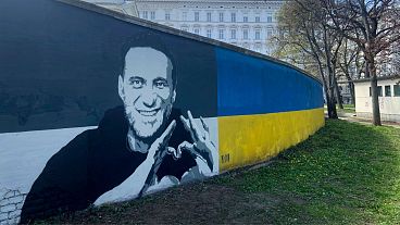 نقاشی دیواری چهره ناوالنی در اتریش