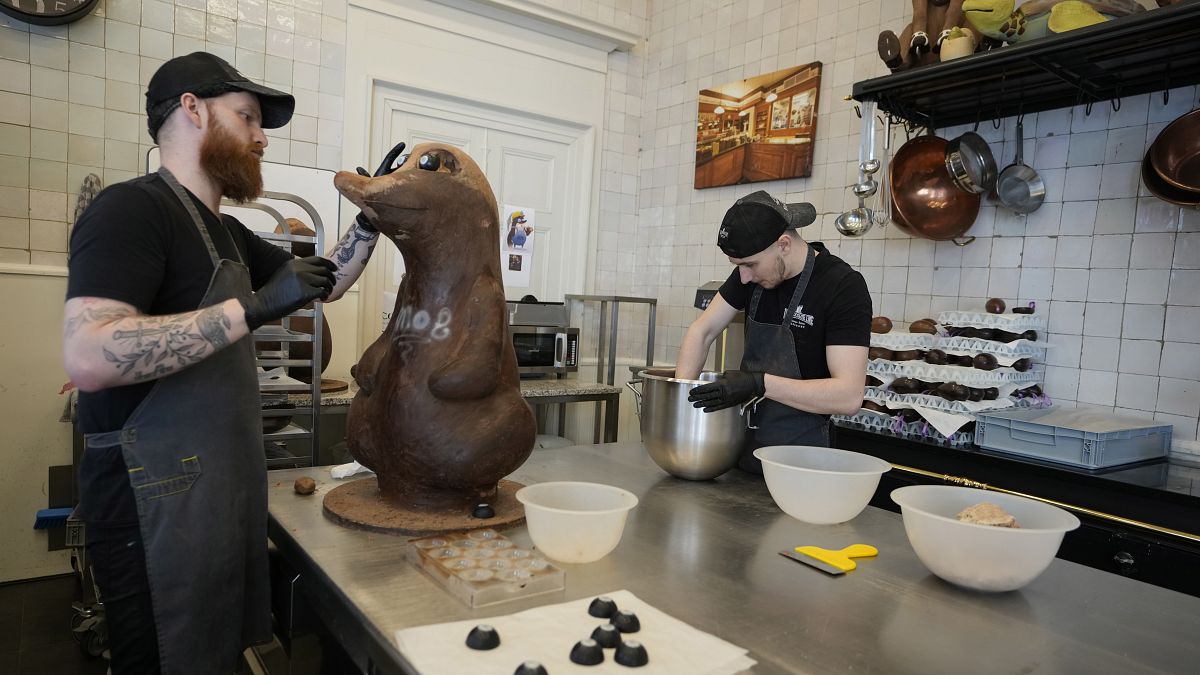 صانع شوكولاتة في بلجيكا