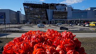 Moskova yakınlarındaki Crocus City Hall konser salonundaki saldırıda ölenleri anmak için bırakılan çiçekler