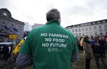 Um agricultor usa uma t-shirt com uma mensagem durante uma manifestação de agricultores franceses e belgas em frente ao Parlamento Europeu, em Bruxelas, a 24 de janeiro.