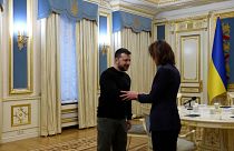 France's Valérie Hayer meets with Volodymyr Zelenskyy