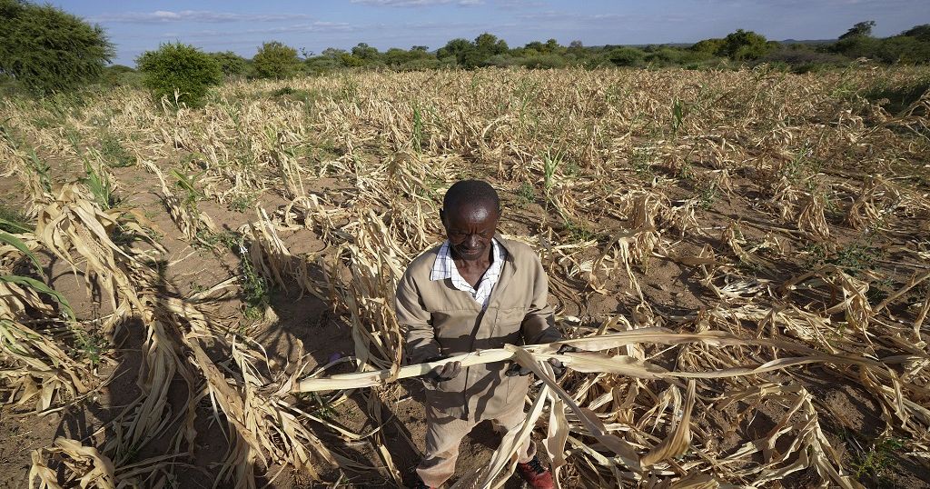 Severe drought and famine in southern Africa leaves some 20 million facing hunger