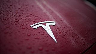Raindrops gather on the logo of a Tesla Model Y, Thursday, Dec. 15, 2022, in Charlotte, N.C. (AP Photo/Chris Carlson)