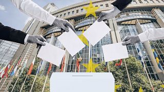 How do the European Parliament elections work?