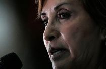 دینا بولوآرته، رئیس‌ جمهوری پرو
