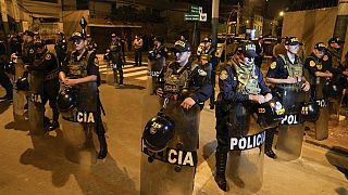 Αστυνομική επιχείρηση στο σπίτι της προέδρου Ντίνα Μπολουάρτε