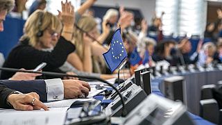 Les électeurs européens devront désigner leurs eurodéputés en juin