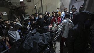 Funcionários de ONG mortos em Gaza