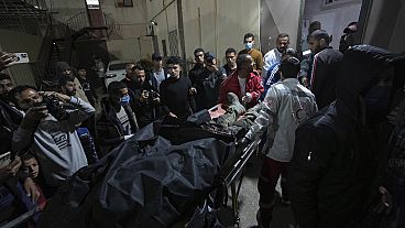 Funcionários de ONG mortos em Gaza