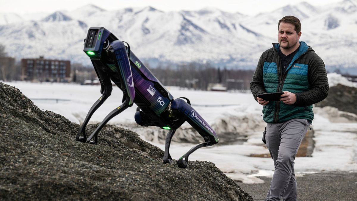 Airport employs robot disguised as a predator to scare wildlife away from runways thumbnail