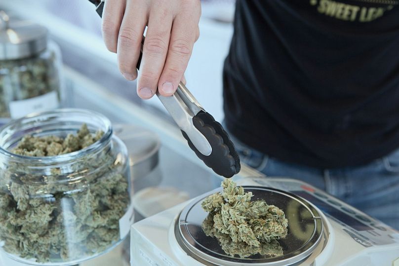 A dispensary worker weighs cannabis for sale