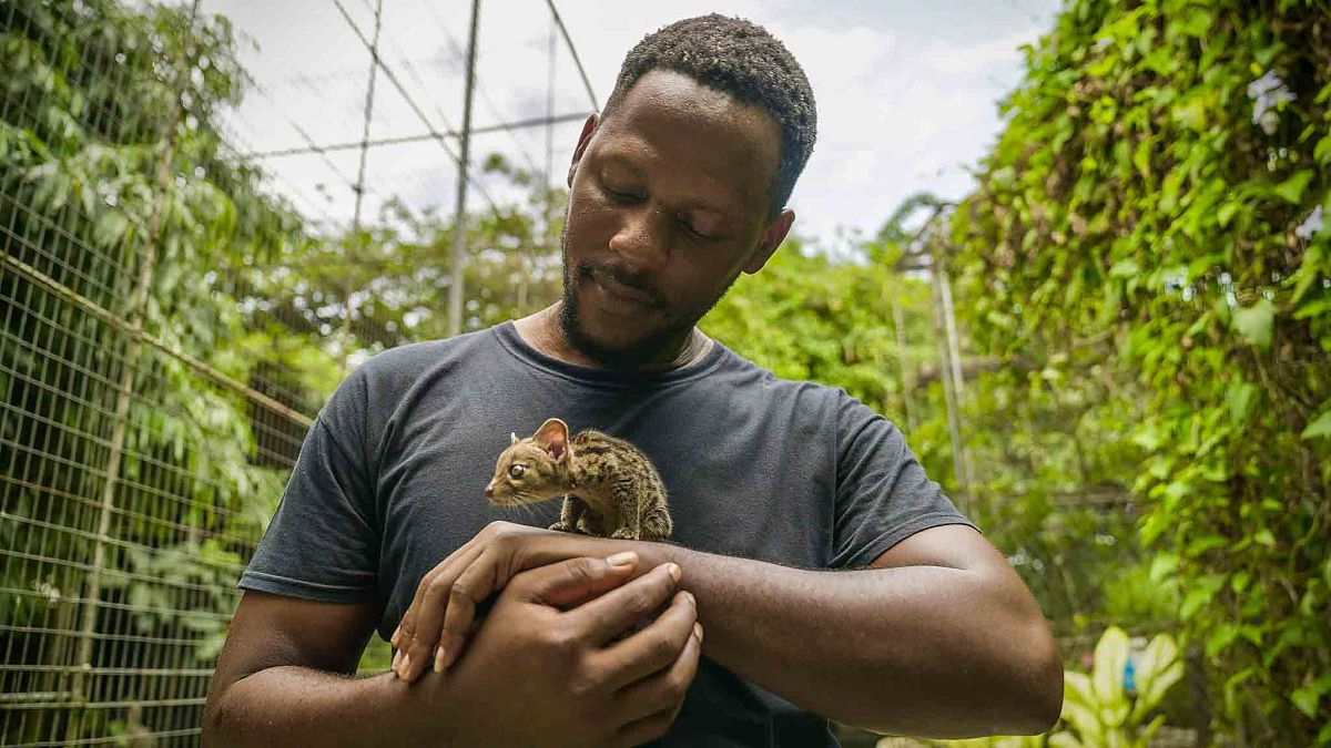 Гледайте: Нигерийският герой създава безопасно убежище за животни