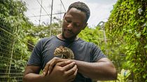 Watch: The Nigerian hero creating a safe haven for animals